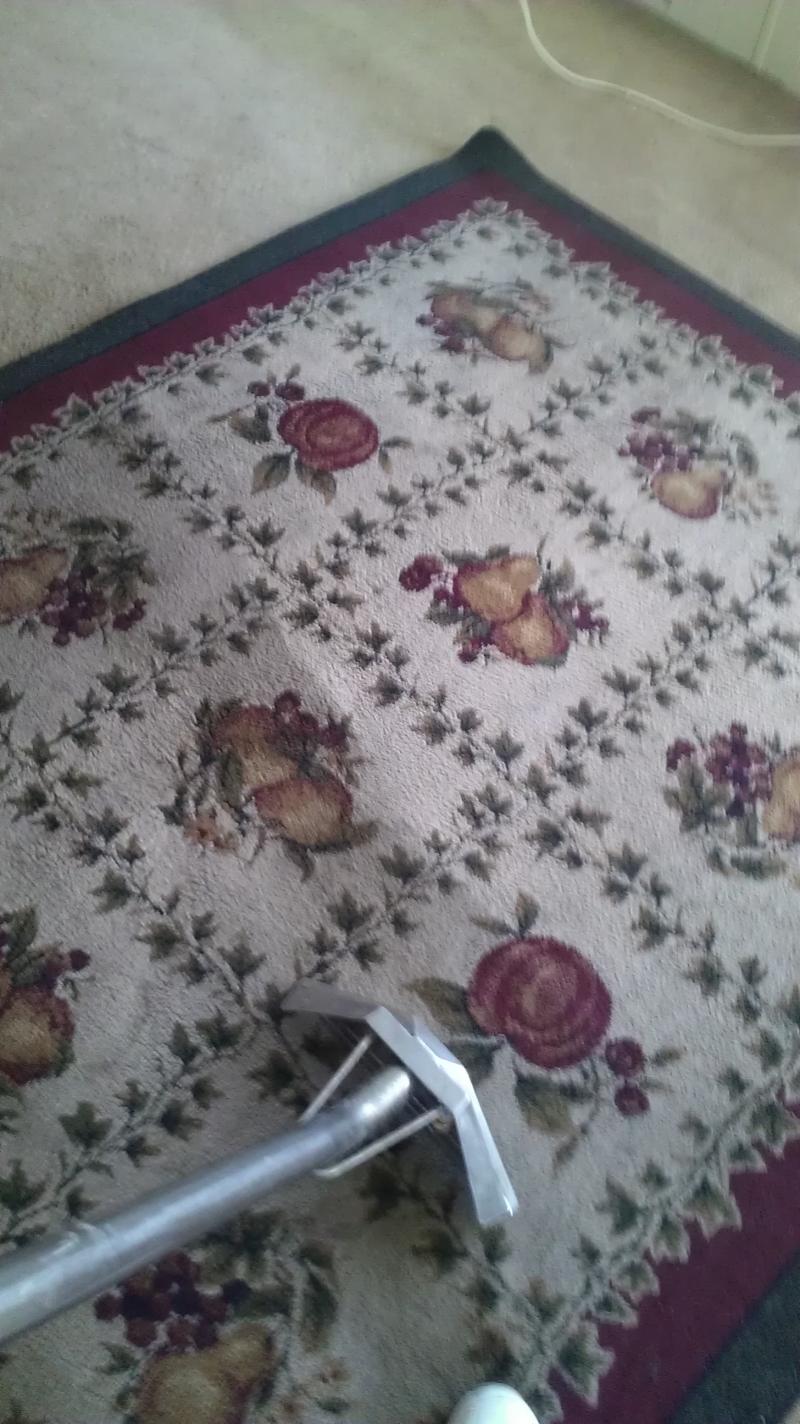 Full Service Carpet Care cleaning a floral area rug